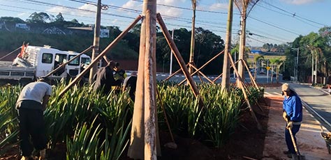 Paisagismo, Jardinagem e Decoração Floral de Festas em SP