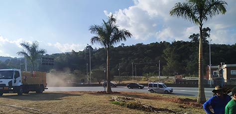 Paisagismo, Jardinagem e Decoração Floral de Festas em SP